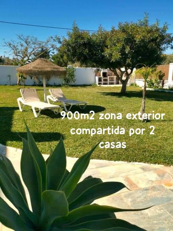 Olas De Conil Conil De La Frontera Εξωτερικό φωτογραφία